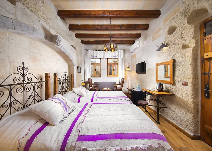 ホテル Terra Cave 3*